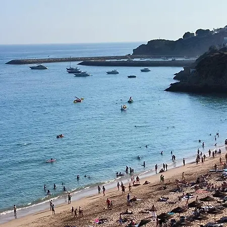 Pateo - One Bedroom In *